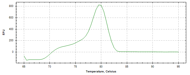 Melt curve analysis of above amplification.