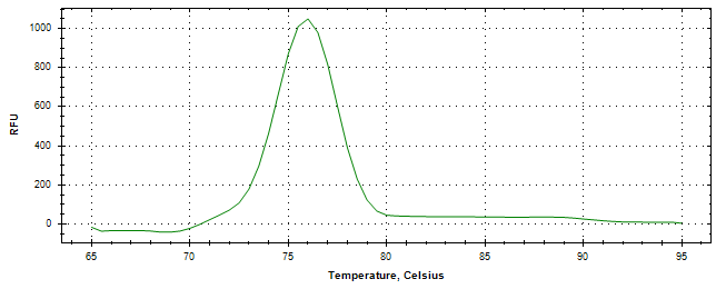 Melt curve analysis of above amplification.