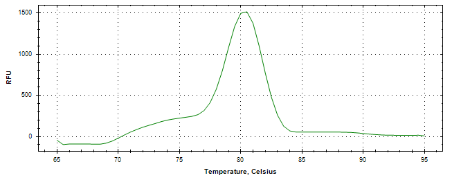 Melt curve analysis of above amplification.