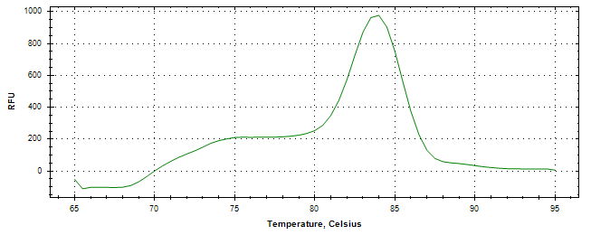 Melt curve analysis of above amplification.