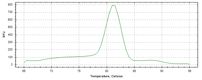 Melt curve analysis of above amplification.