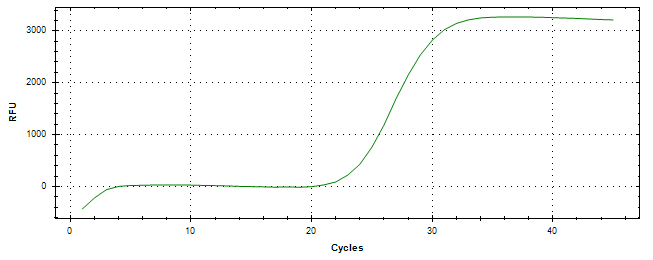 Amplification of cDNA generated from universal RNA.