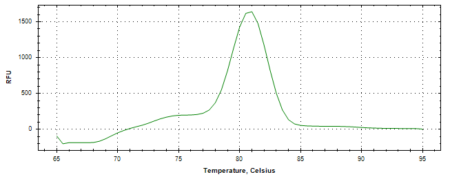 Melt curve analysis of above amplification.