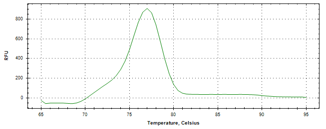 Melt curve analysis of above amplification.