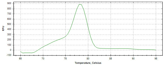 Melt curve analysis of above amplification.