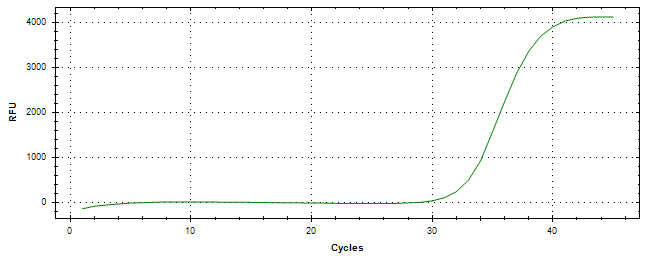 Amplification of cDNA generated from universal RNA.