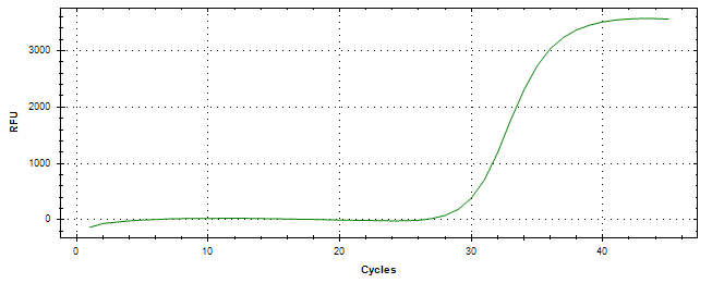 Amplification of cDNA generated from universal RNA.