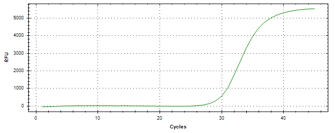 Amplification of cDNA generated from universal RNA.