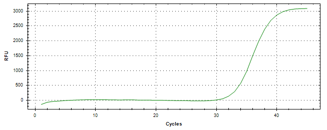 Amplification of cDNA generated from universal RNA.