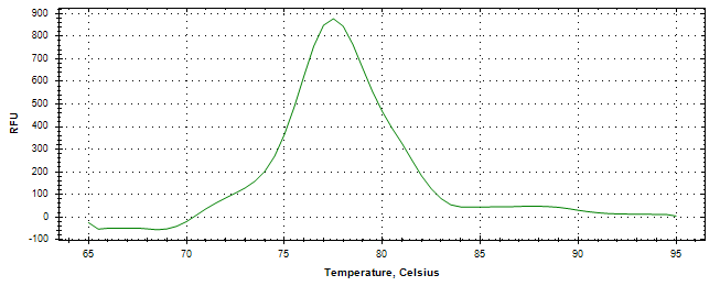 Melt curve analysis of above amplification.