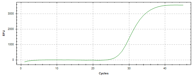 Amplification of cDNA generated from universal RNA.