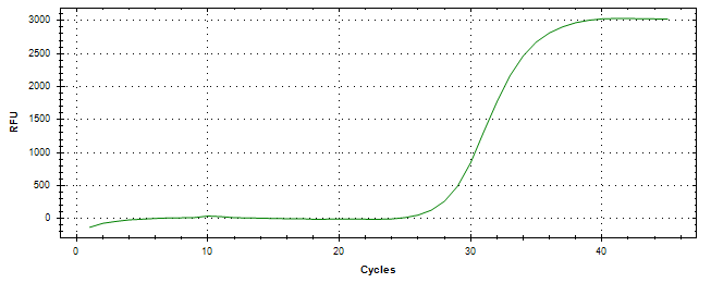 Amplification of cDNA generated from universal RNA.