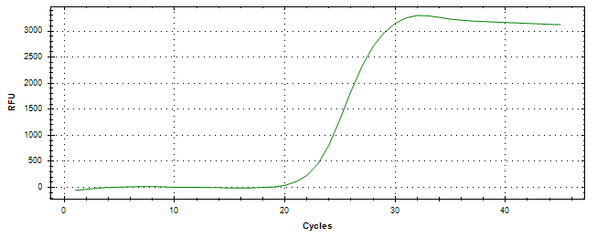 Amplification of cDNA generated from universal RNA.