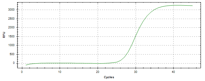 Amplification of cDNA generated from universal RNA.