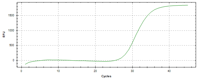 Amplification of cDNA generated from universal RNA.