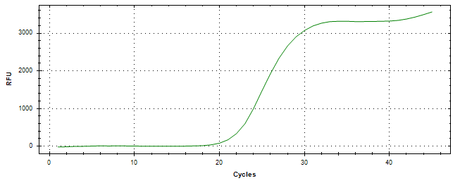 Amplification of cDNA generated from universal RNA.