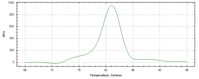 Melt curve analysis of above amplification.