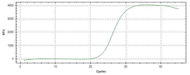 Amplification of cDNA generated from universal RNA.