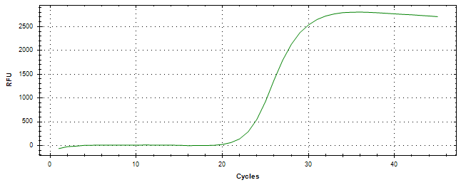 Amplification of cDNA generated from universal RNA.