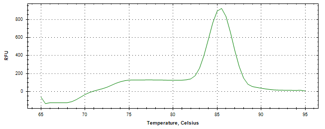 Melt curve analysis of above amplification.