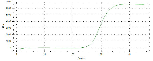 Amplification of cDNA generated from universal RNA.