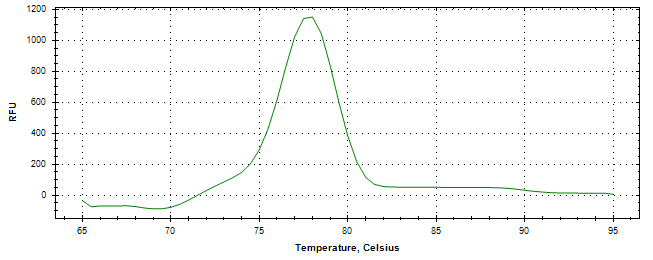 Melt curve analysis of above amplification.