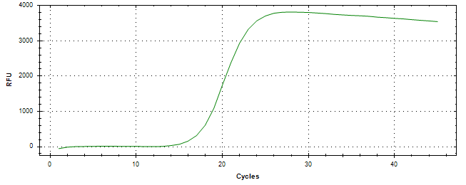 Amplification of cDNA generated from universal RNA.