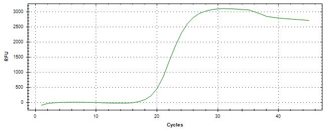 Amplification of cDNA generated from universal RNA.