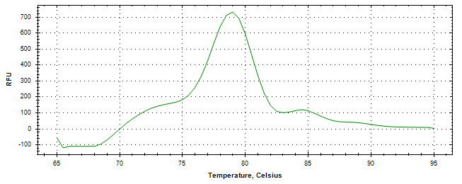 Melt curve analysis of above amplification.