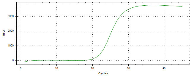 Amplification of cDNA generated from universal RNA.