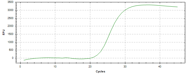 Amplification of cDNA generated from universal RNA.