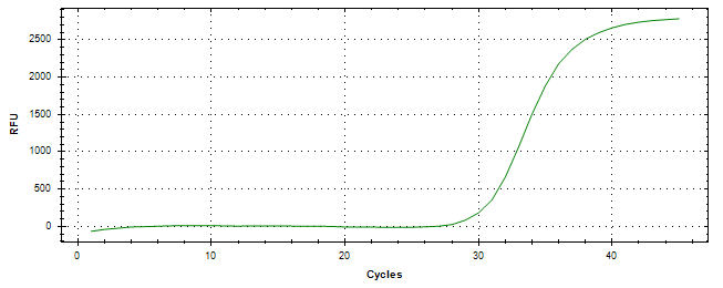 Amplification of cDNA generated from universal RNA.