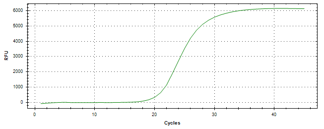 Amplification of cDNA generated from universal RNA.