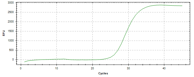 Amplification of cDNA generated from universal RNA.
