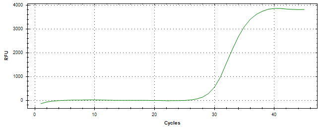 Amplification of cDNA generated from universal RNA.