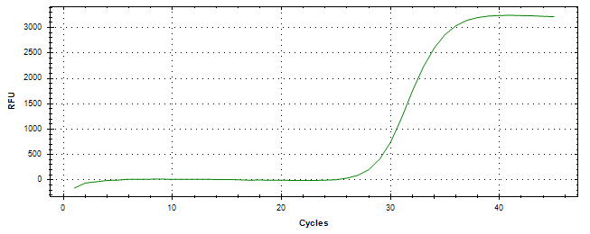 Amplification of cDNA generated from universal RNA.