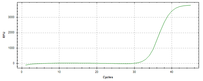 Amplification of cDNA generated from universal RNA.