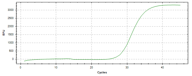 Amplification of cDNA generated from universal RNA.