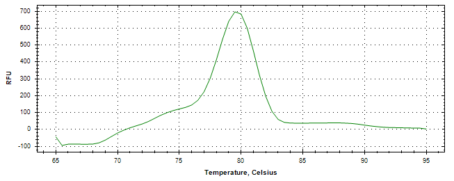 Melt curve analysis of above amplification.