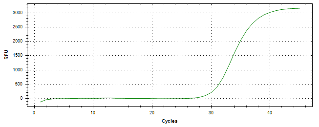 Amplification of cDNA generated from universal RNA.