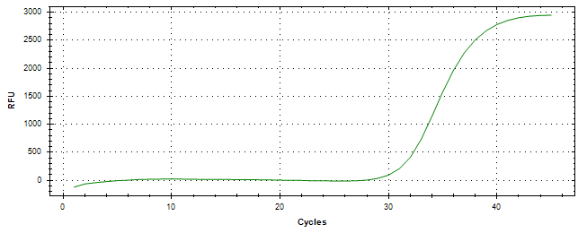 Amplification of cDNA generated from universal RNA.