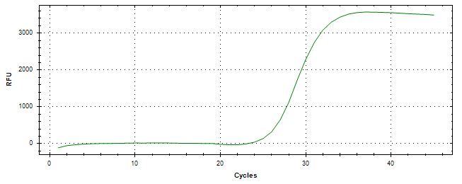 Amplification of cDNA generated from universal RNA.