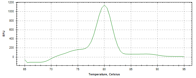 Melt curve analysis of above amplification.