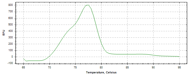 Melt curve analysis of above amplification.