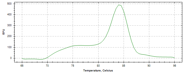 Melt curve analysis of above amplification.