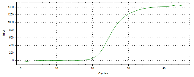 Amplification of cDNA generated from universal RNA.