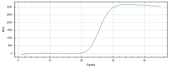 Amplification of cDNA generated from universal RNA.