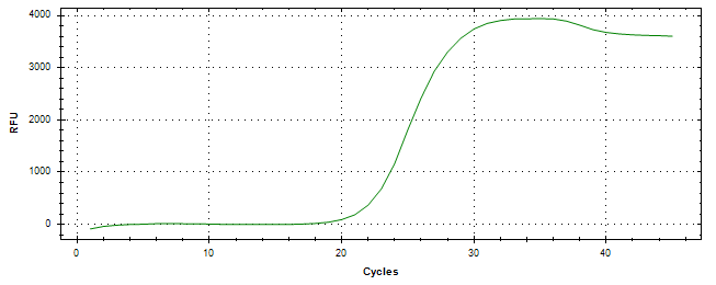 Amplification of cDNA generated from universal RNA.