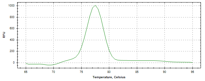 Melt curve analysis of above amplification.