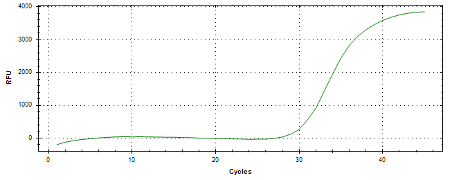 Amplification of cDNA generated from universal RNA.